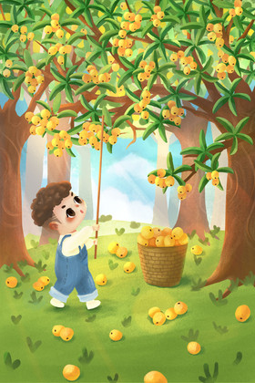 橘色摘枇杷的小男孩小满插画