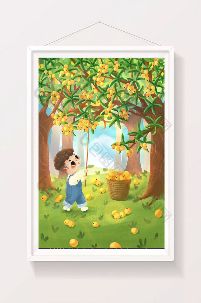 橘色摘枇杷的小男孩小满插画