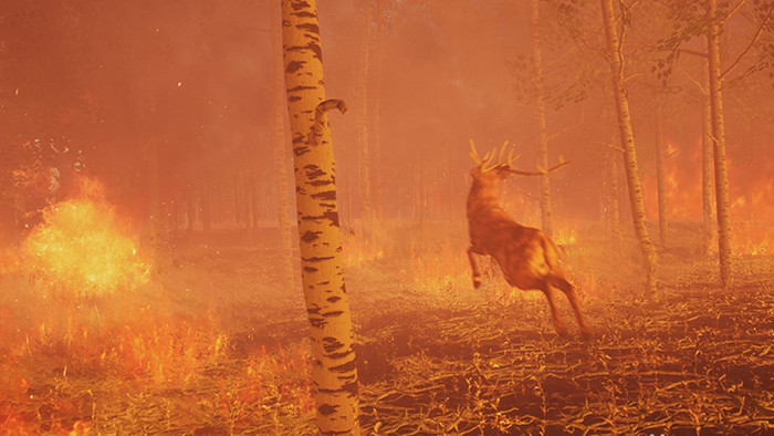 4K森林火灾动物逃离高清背景视频