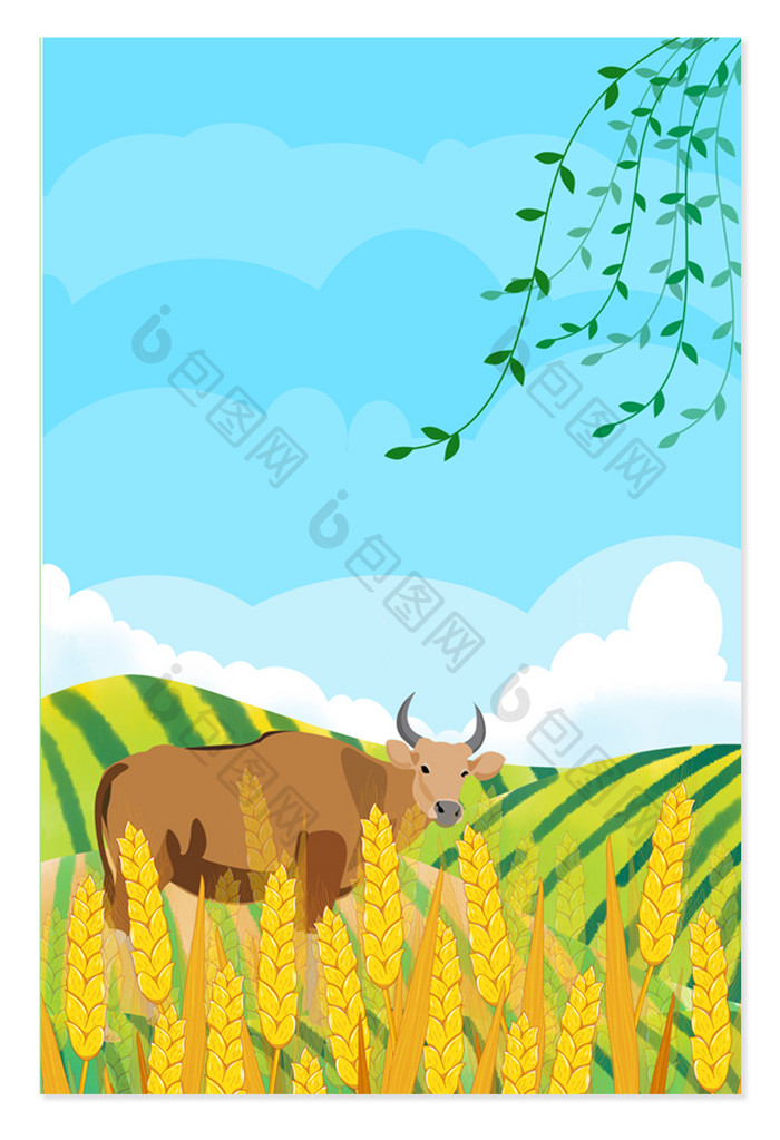 芒种田地耕牛手绘背景