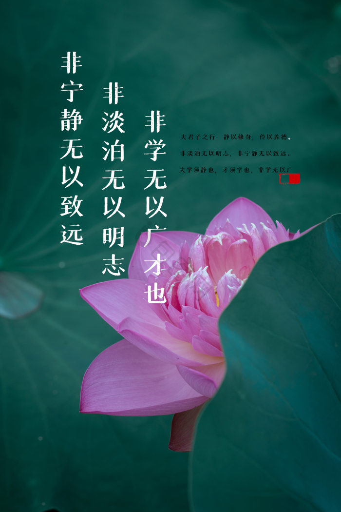精心管理图片-精心管理图片模板