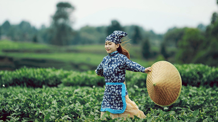 4K实拍采茶女在茶园奔跑唯美镜头