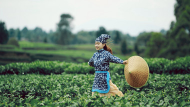 4K实拍采茶女在茶园奔跑唯美镜头