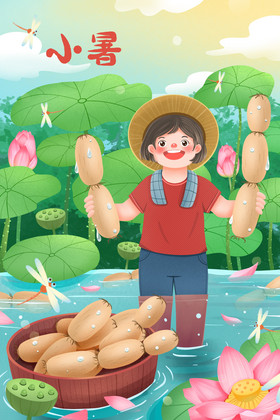夏天摘藕的农民插画
