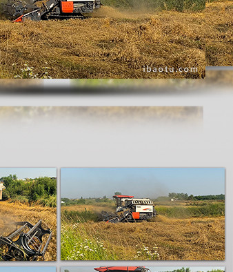 行业农业农民收割机收麦子4K实拍