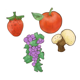 植物蔬菜苹果葡萄小元素