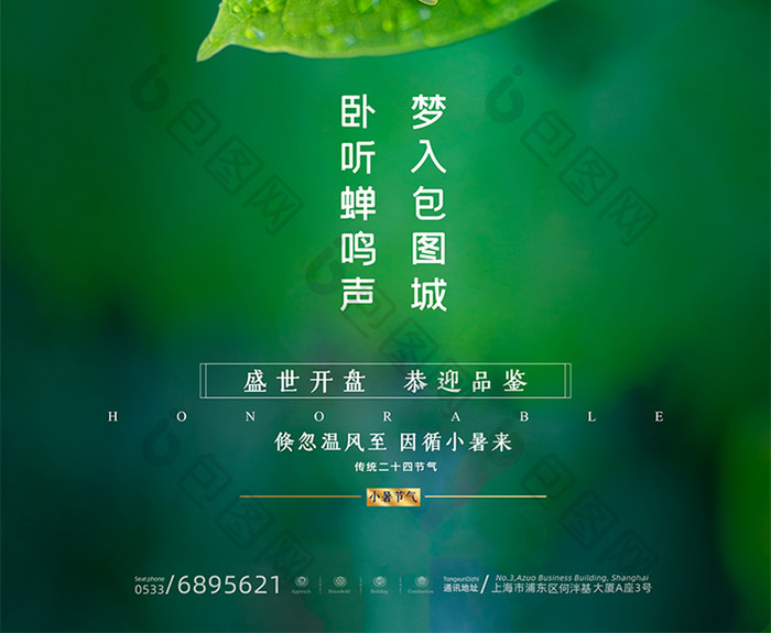 绿叶金蝉房地产小暑节日节气海报