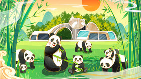 成都熊猫基地竹子熊猫插画