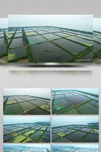 自然南京石臼湖水产养殖基地大气4k航拍图片