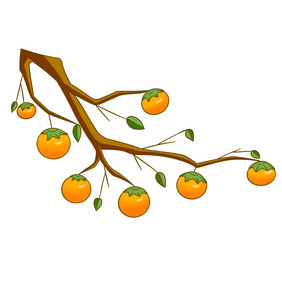 卡通手绘柿子树柿子水果