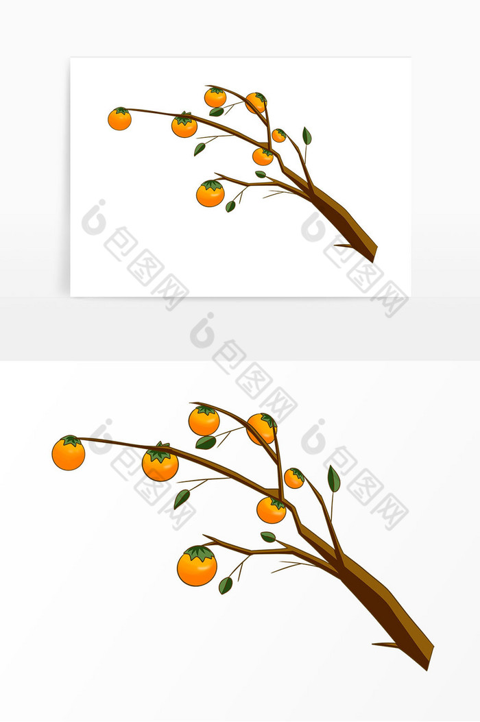秋季果实柿子树插画图片图片