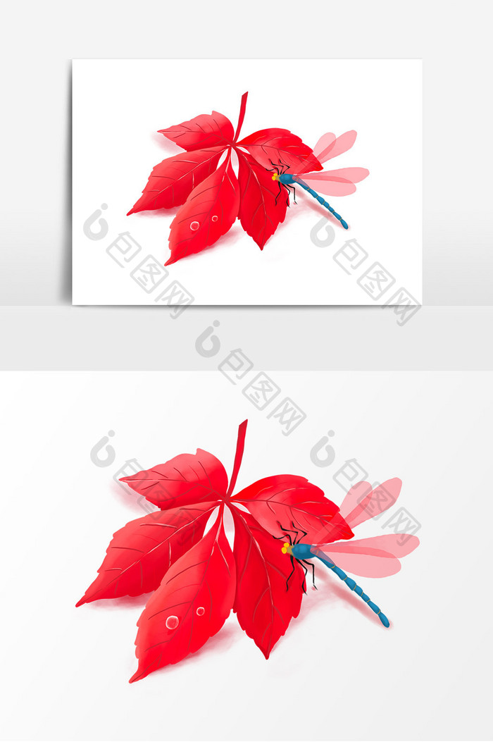手绘红色枫叶蜻蜓秋天立秋元素