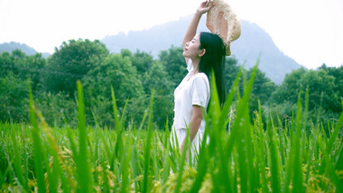 自然唯美青春女生在稻田感受自然风光视频