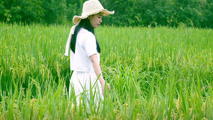 自然唯美青春女生在稻田玩耍视频