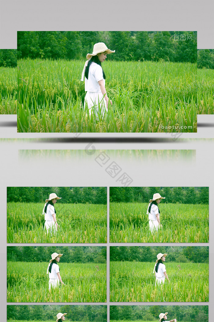 自然唯美青春女生在稻田玩耍视频