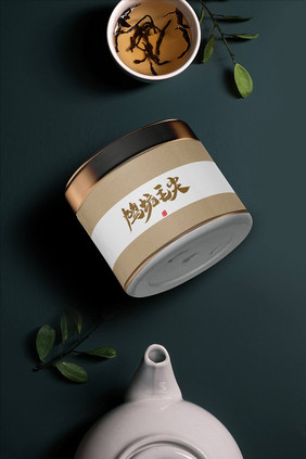质感品牌设计VI手册茶叶罐贴图样机