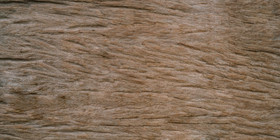 木质木纹深色木板