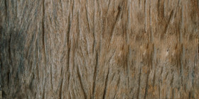 木质木纹质感背景