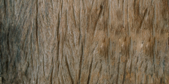 木质木纹质感图片