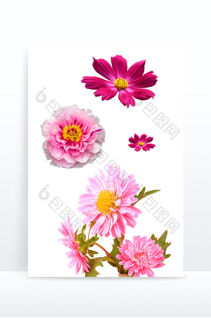 粉色玫粉色花朵组合装饰元素