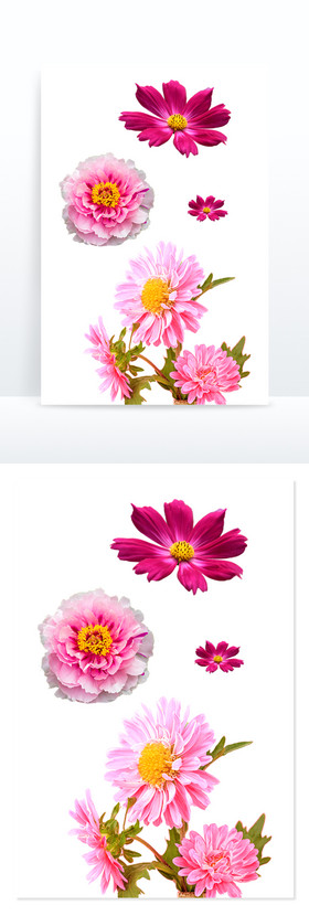 玫花朵组合装饰图片