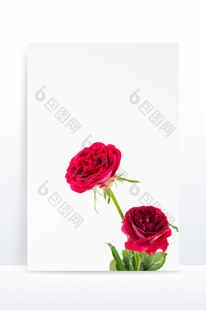 鲜花花朵红玫瑰花束图片图片