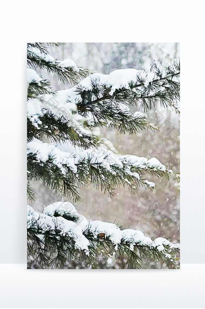 深冬的第一场大雪图片图片