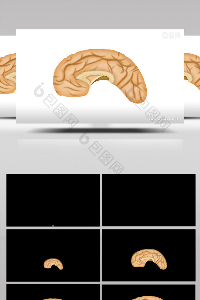 易用写实类mg动画医疗类人体器官大脑