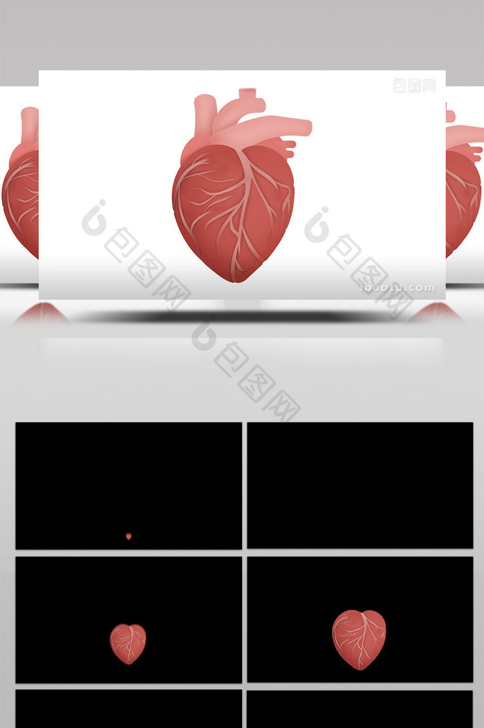 易用写实类mg动画医疗类人体器官心脏