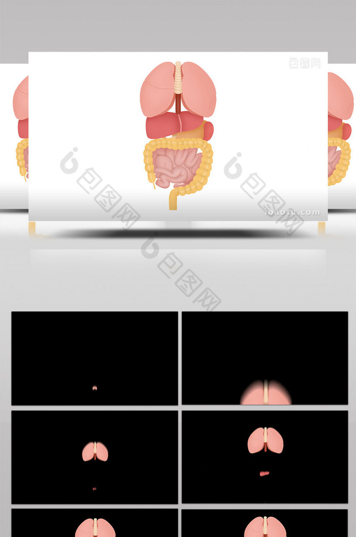 易用写实类mg动画医疗类人体器官各项器官