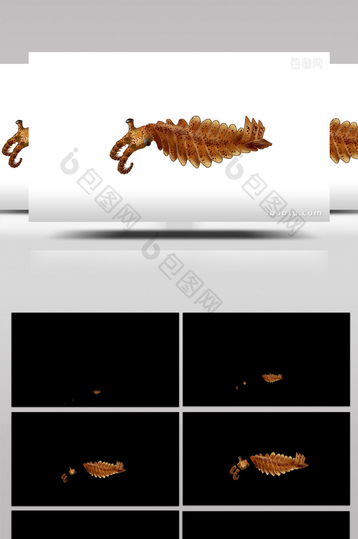 易用mg动画写实类古生物类奇虾