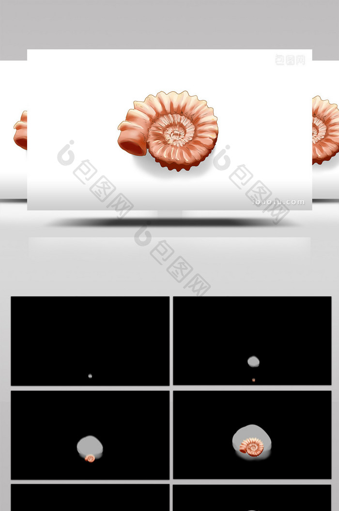 易用mg动画写实类古生物类菊石