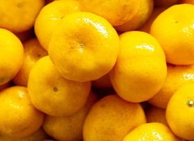 黄色橘子水果背景