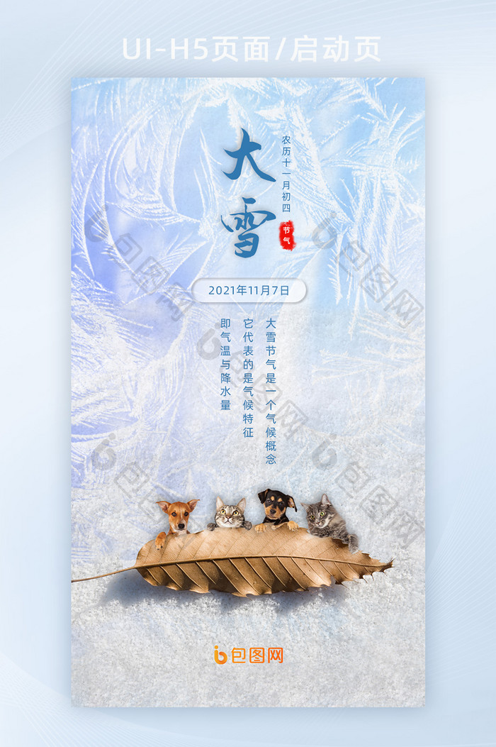 白色唯美留白简约风二十四节气之大雪h5