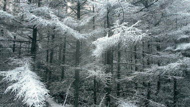 自然简约航拍冬天雪景雾凇景色片头片尾