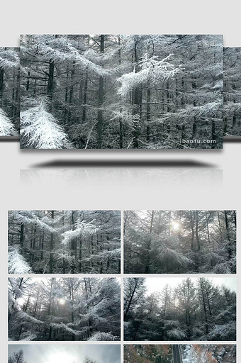 自然简约航拍冬天雪景雾凇景色片头片尾图片