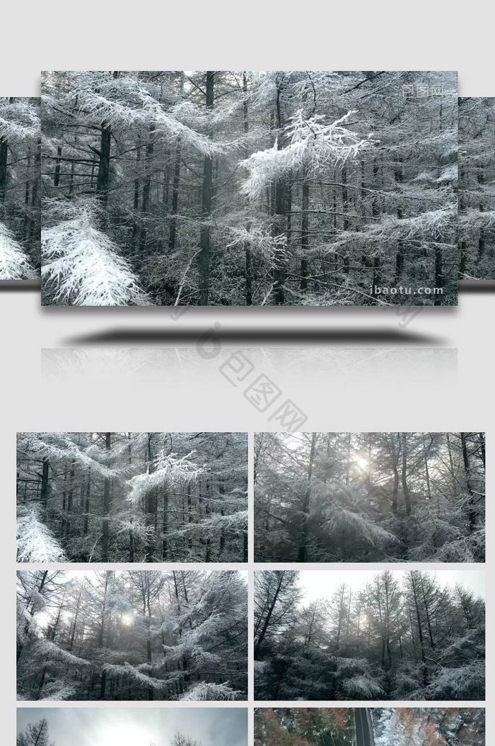 自然简约航拍冬天雪景雾凇景色片头片尾