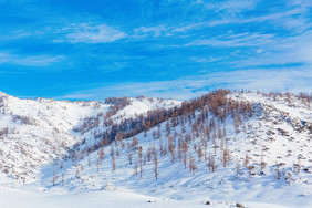 新疆喀纳斯雪山雪景