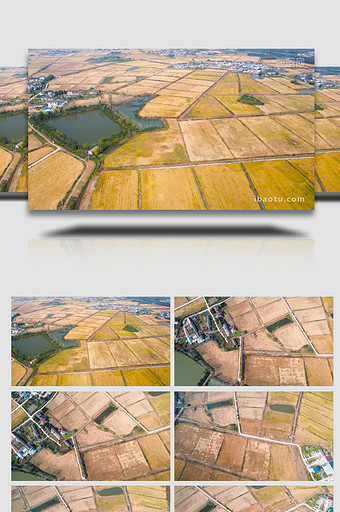 乡村生活美丽乡村建设乡村农田4K航拍图片