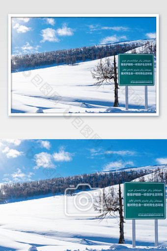 新疆喀纳斯雪山保护环境标语图片