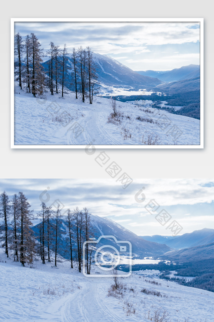 新疆喀纳斯观鱼台冬季雪景