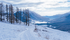 新疆喀纳斯观鱼台冬季雪景