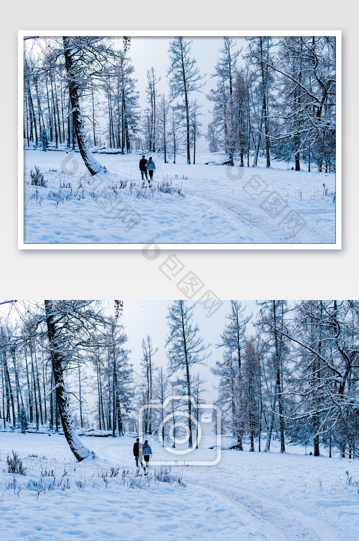 新疆喀纳斯冬季森林雪景情侣散步