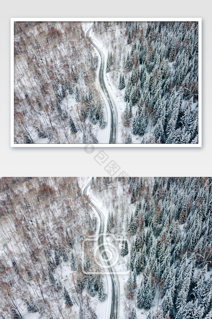新疆喀纳斯冬季森林公路图片图片