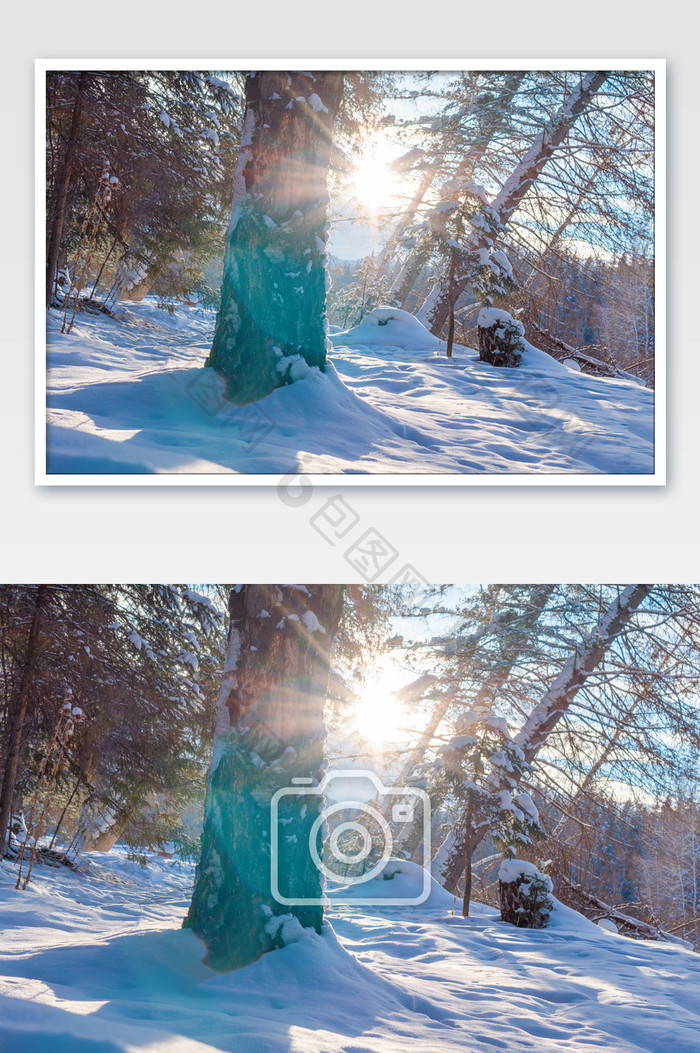 新疆雪景大雪阳光