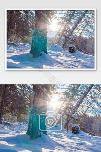 新疆雪景大雪阳光图片