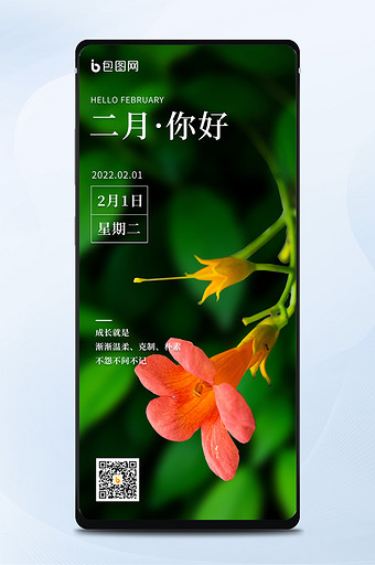 二月你好鲜花迎接新的一月早安日签海报图片