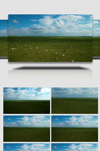 辽阔草原上散落的成片的羊群4k航拍图片