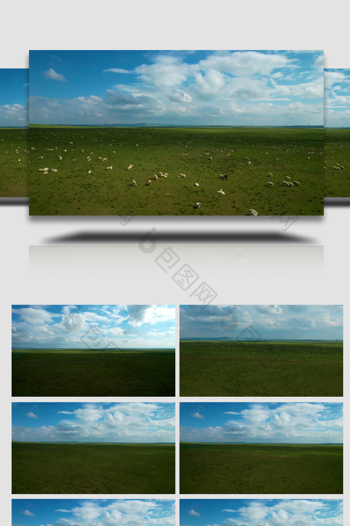 辽阔草原上散落的成片的羊群4k航拍
