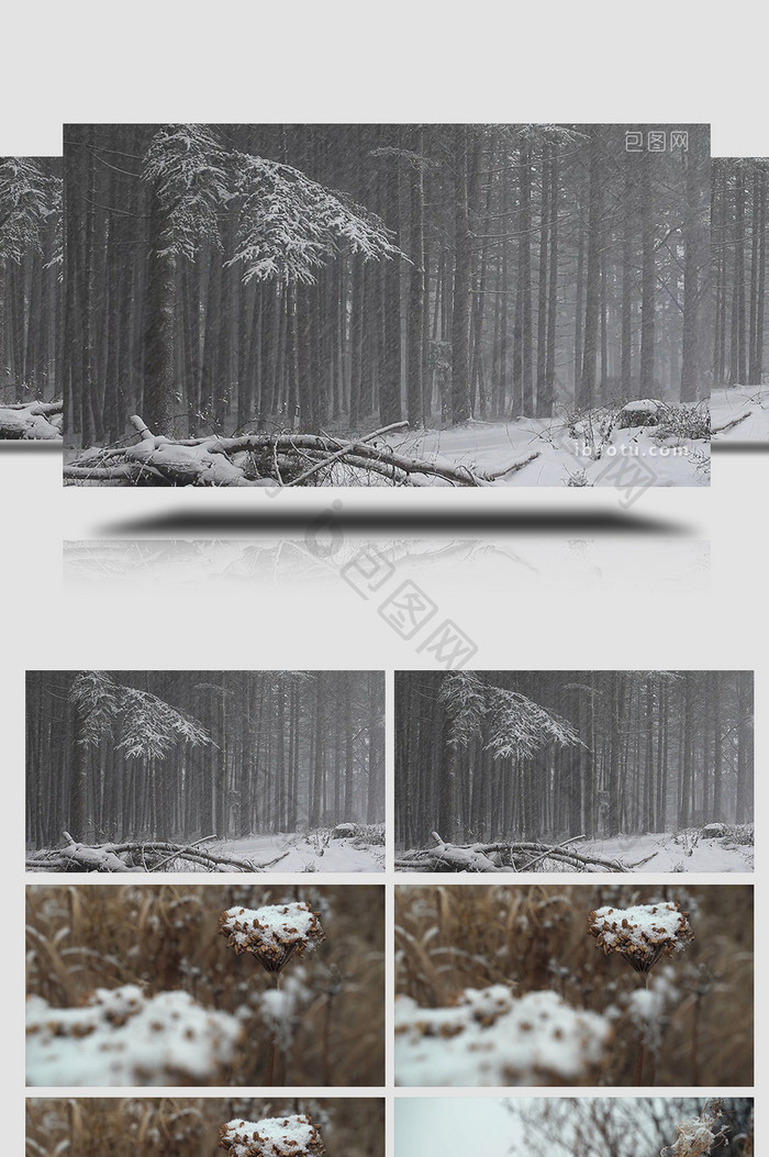 自然风景实拍视频清晰唯美下雪枯草自然雪地